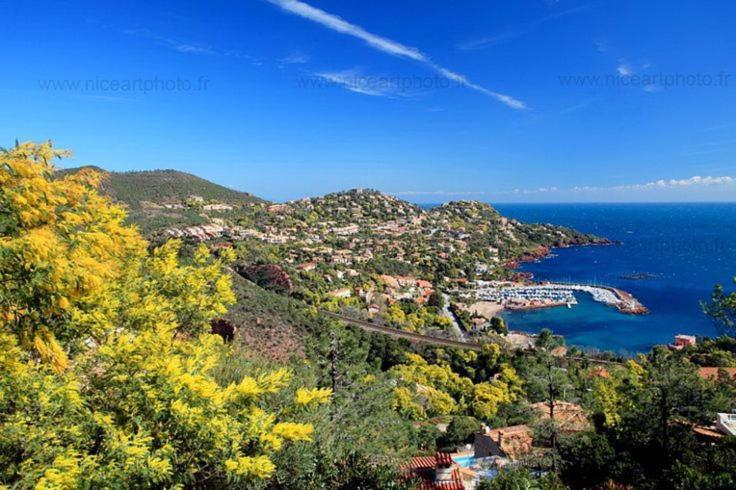 Studio 4P Vue Mer Calme Cap Esterel Saint-Raphaël Zewnętrze zdjęcie